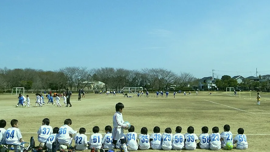 乐鱼前线 从校队到青训营：一次转段要补上的四件东西·数据台一手